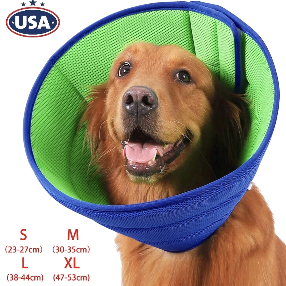 Blue and Green Dog Recovery Cone